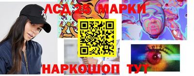 крисы Будённовск