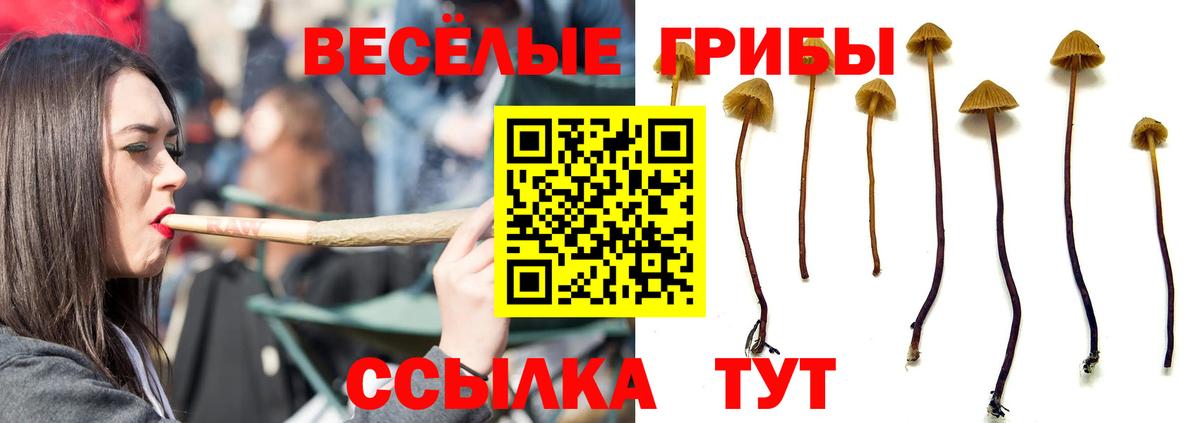 Галлюциногенные грибы мухоморы Благовещенск